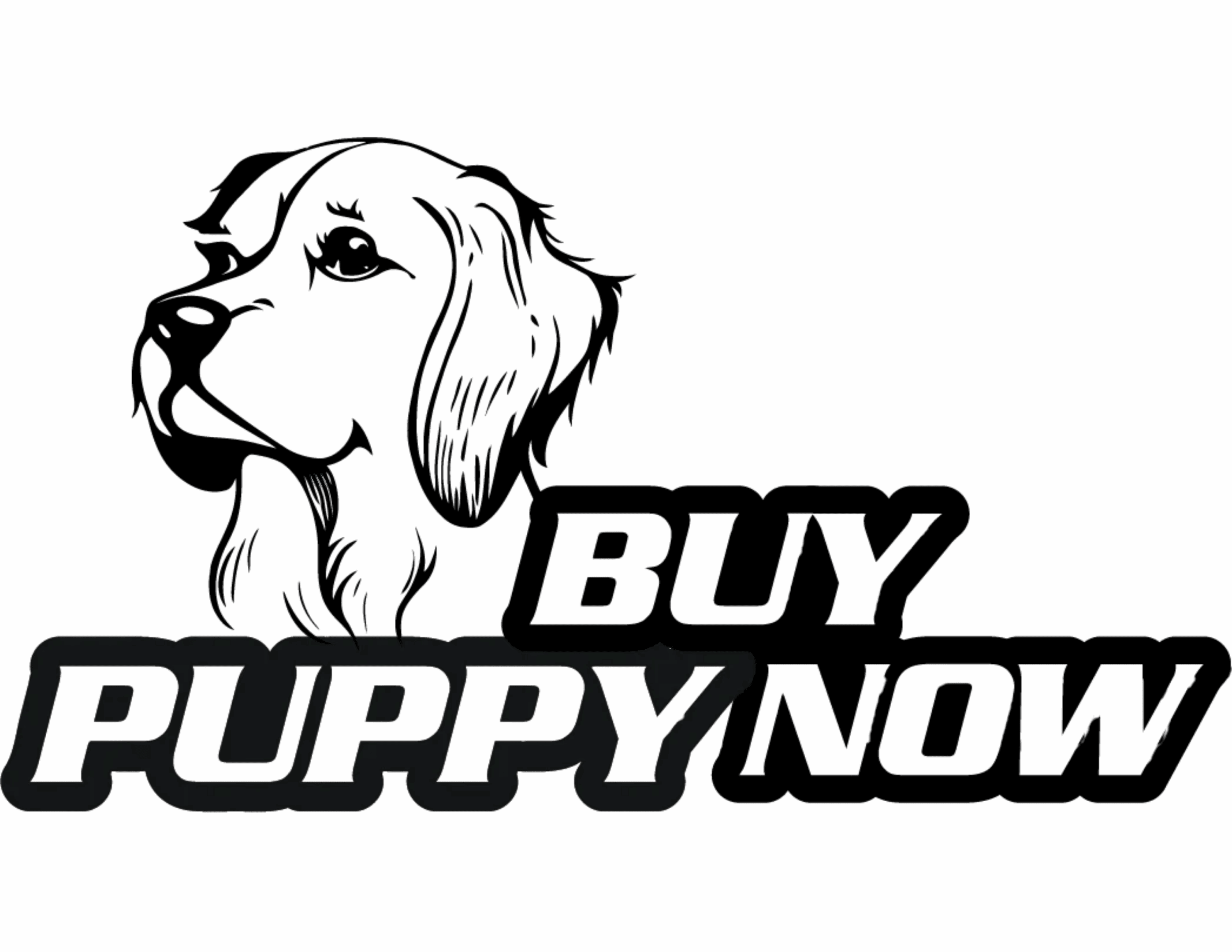 Buy Puppy Now