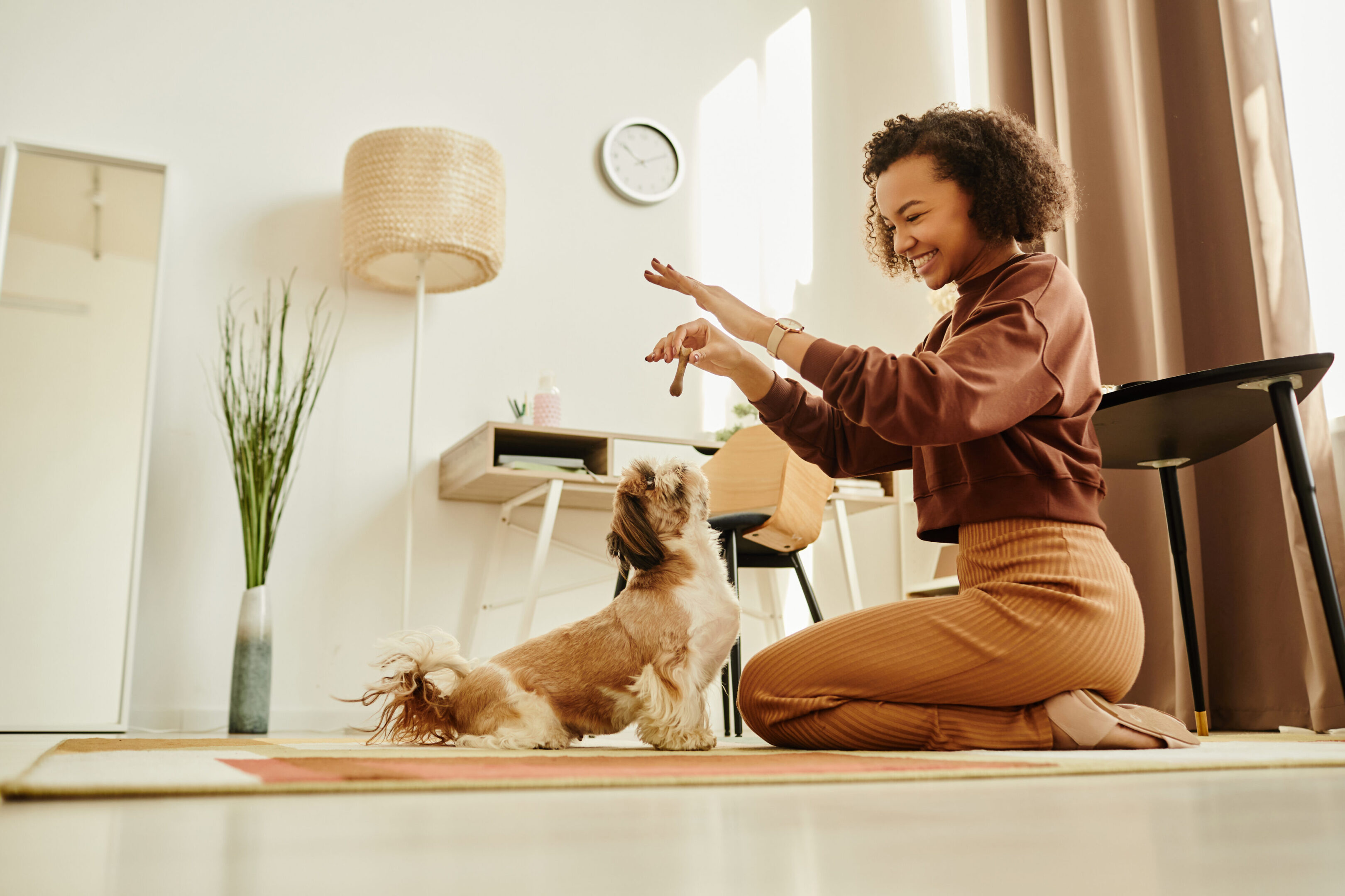 Woman playing with dog in cozy room.