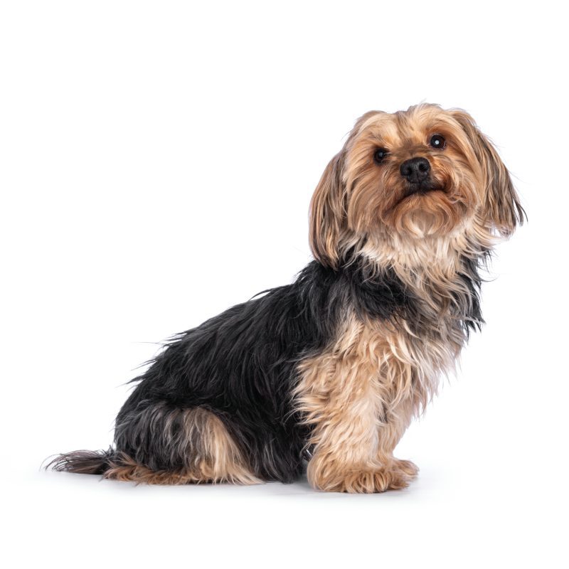 2.GettyImages-1318666252