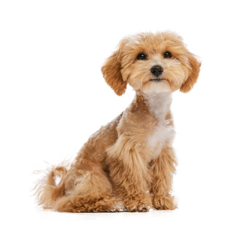 3.GettyImages-1415367283