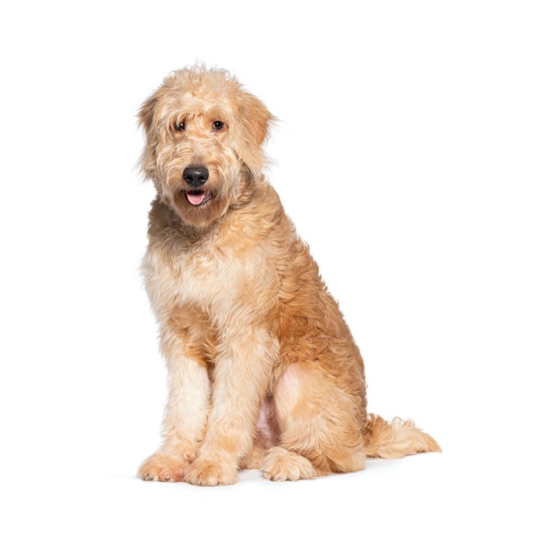 4.GettyImages-2132508504