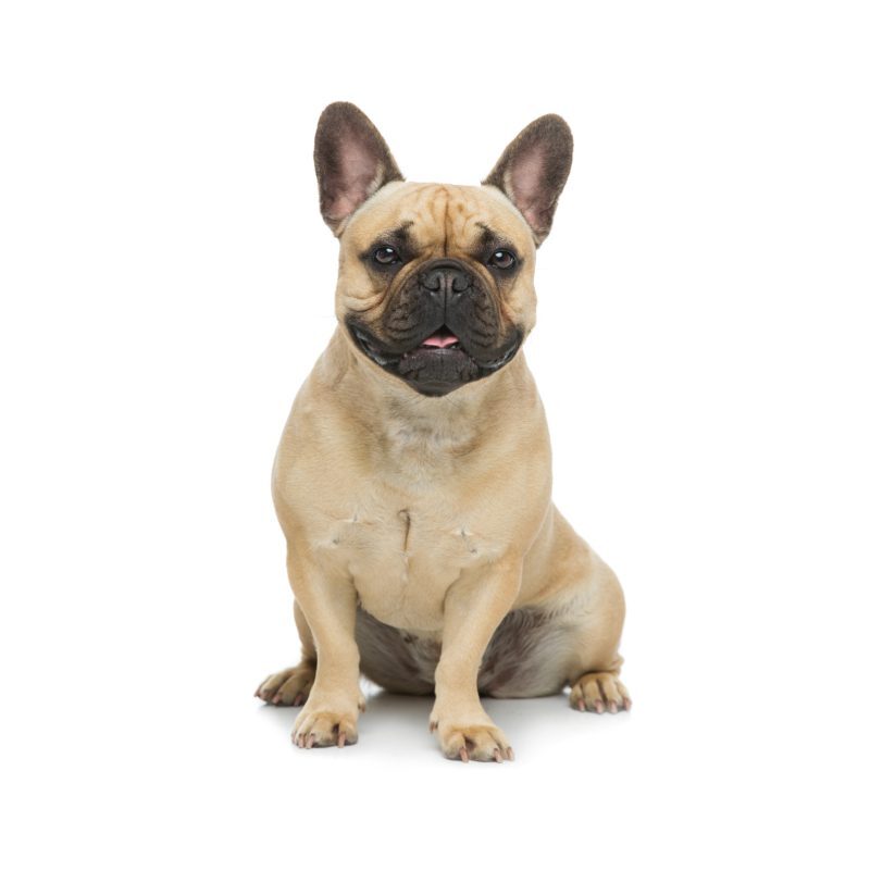 5.GettyImages-627306148