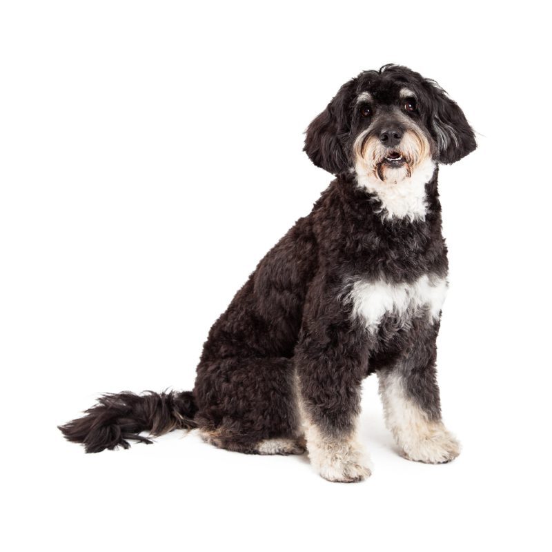 6.GettyImages-522075161