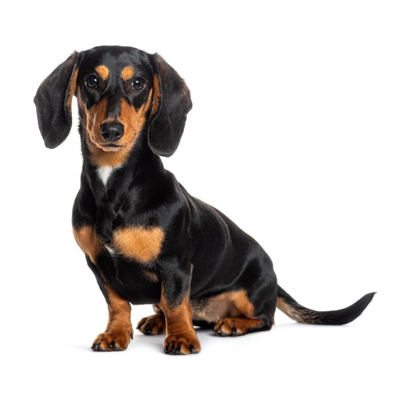 7.GettyImages-2173525835